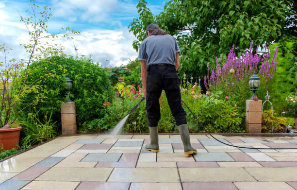 Animal Enclosure Cleaning in Rocklin, CA